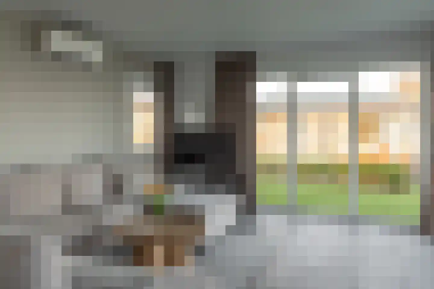 Pontdyk 6 22 Langweer thumbnail 10