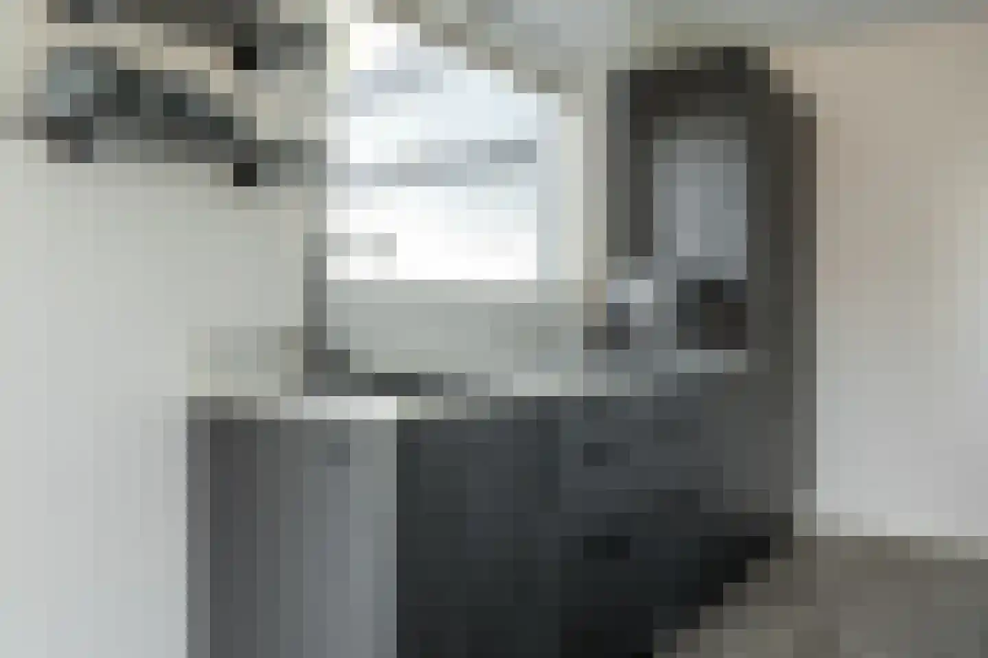Pontdyk 6 22 Langweer thumbnail 12