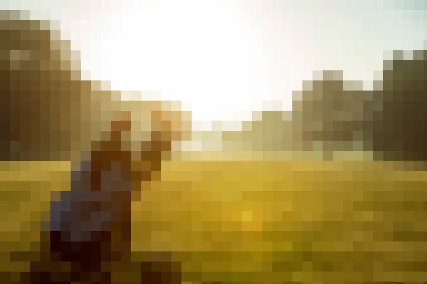 Pontdyk 6 22 Langweer thumbnail 36