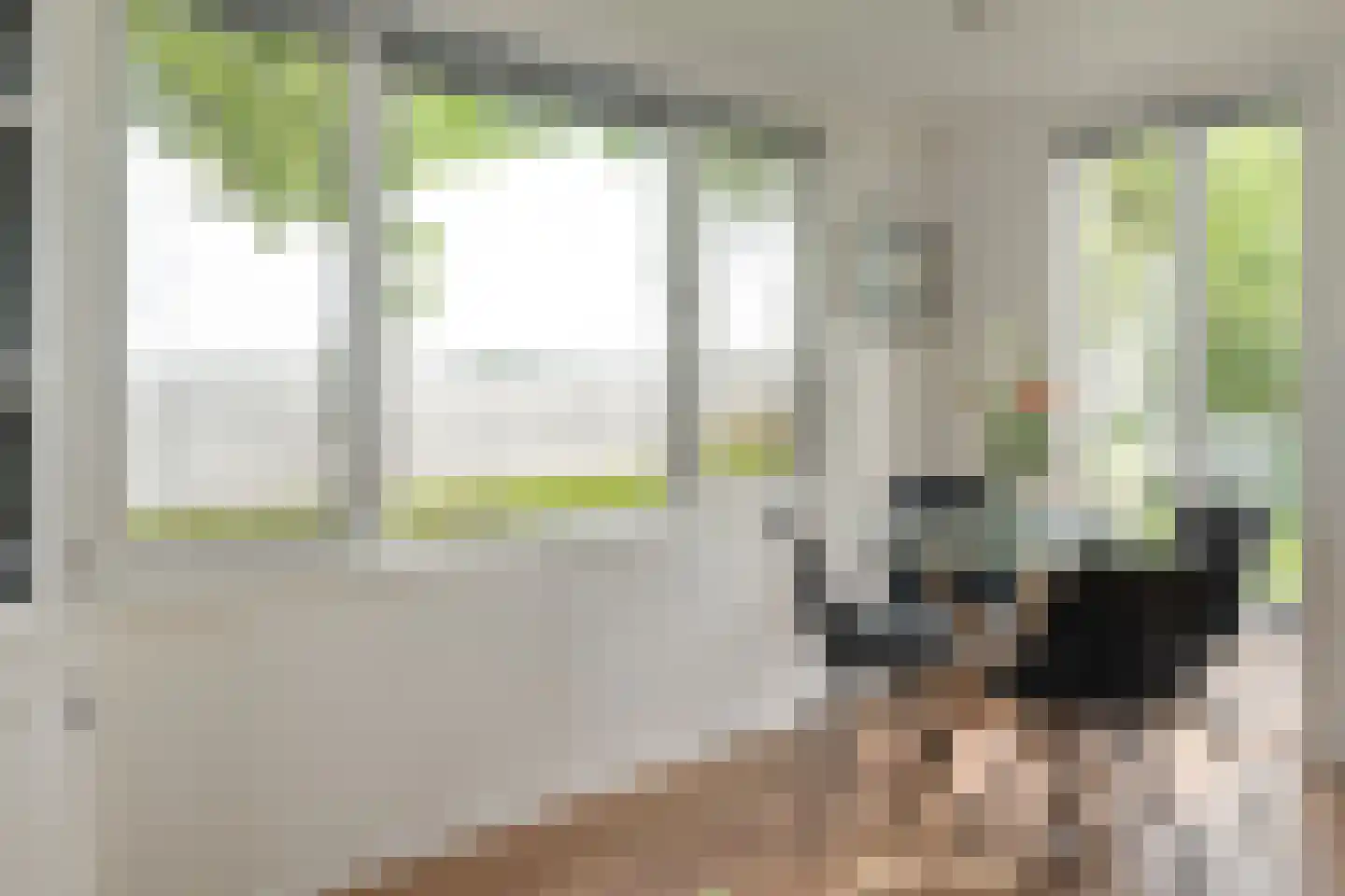 Pontdyk 6 41 Langweer thumbnail 14