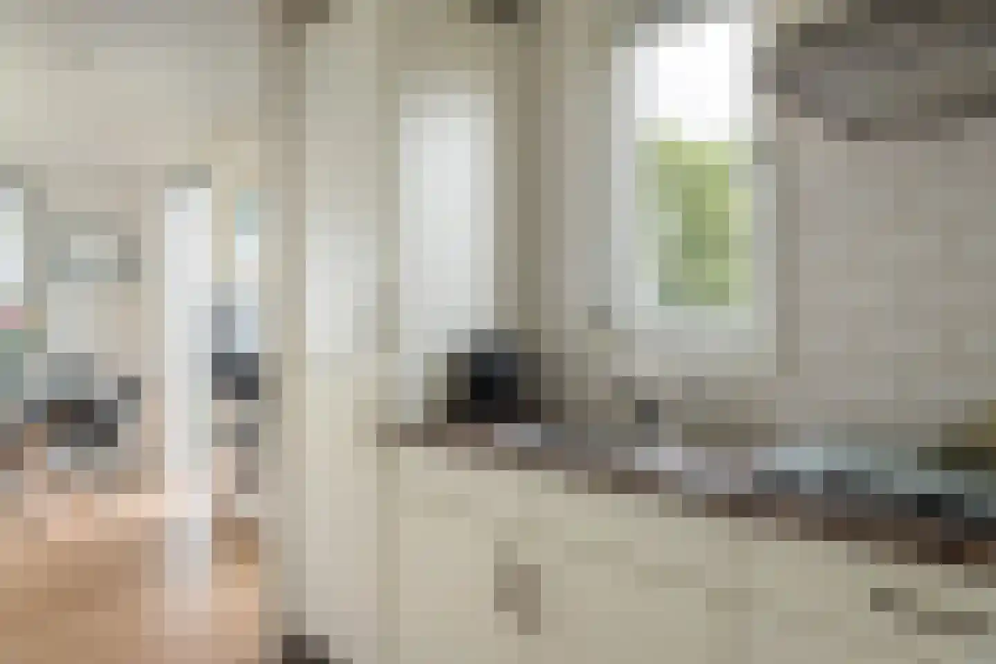 Pontdyk 6 41 Langweer thumbnail 15