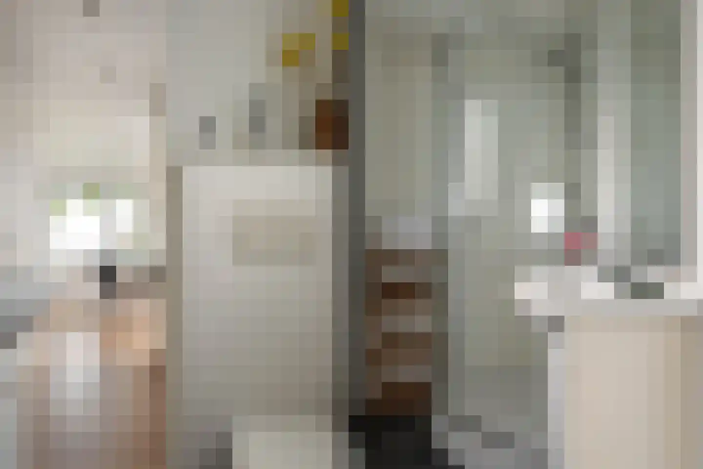 Pontdyk 6 41 Langweer thumbnail 18