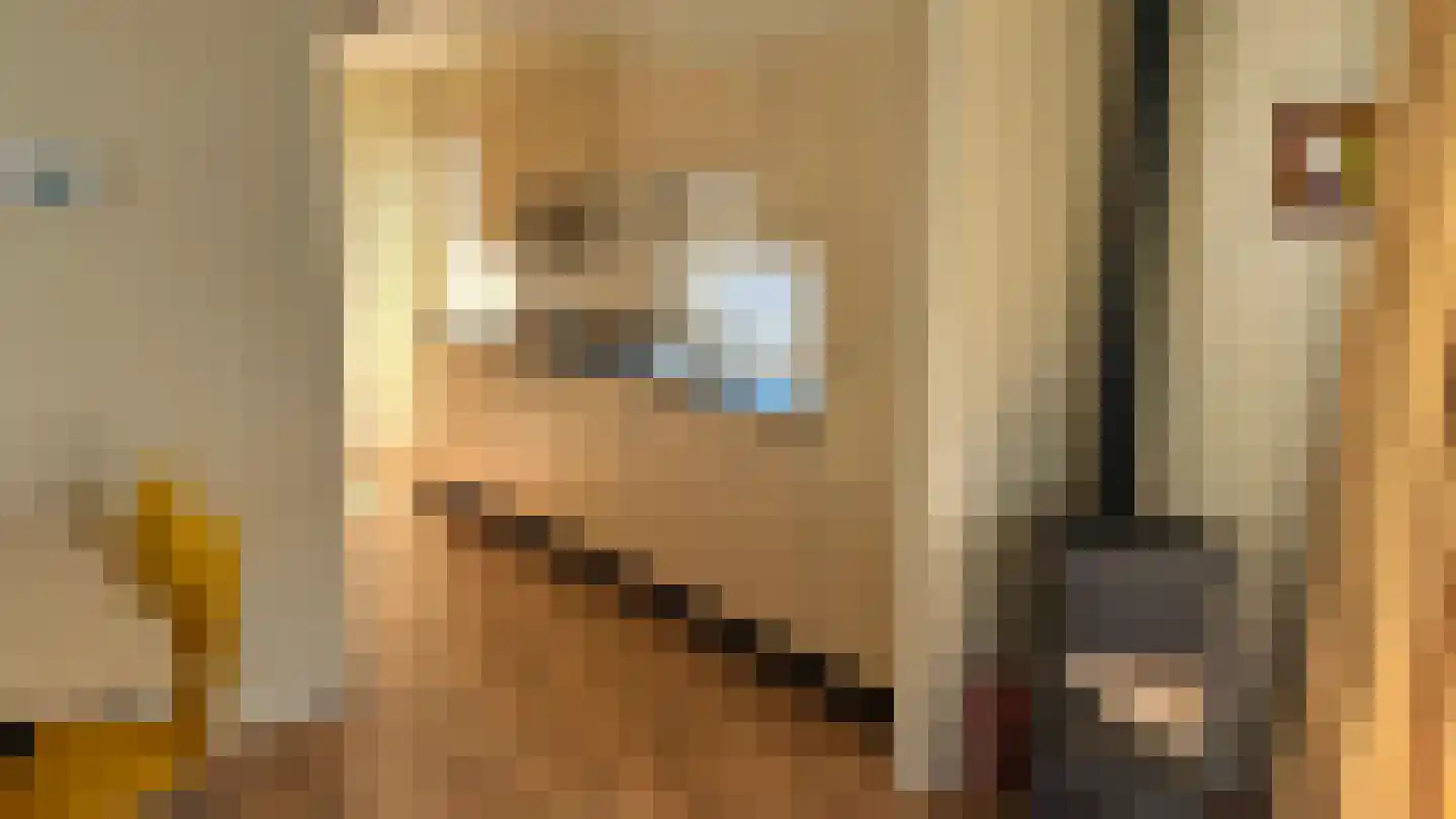 Pontdyk 8 f Langweer thumbnail 10