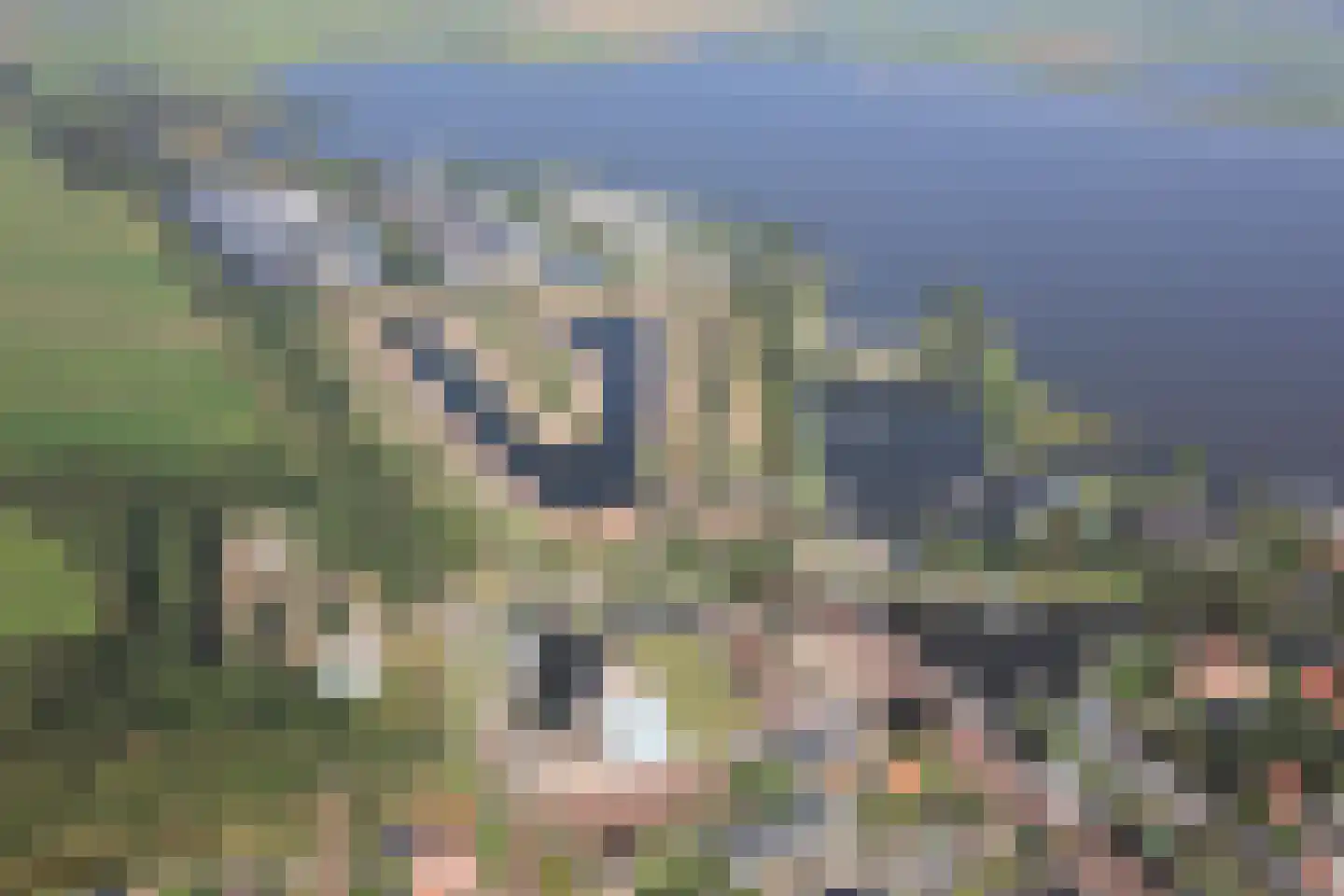 Pontdyk 8 f Langweer thumbnail 34