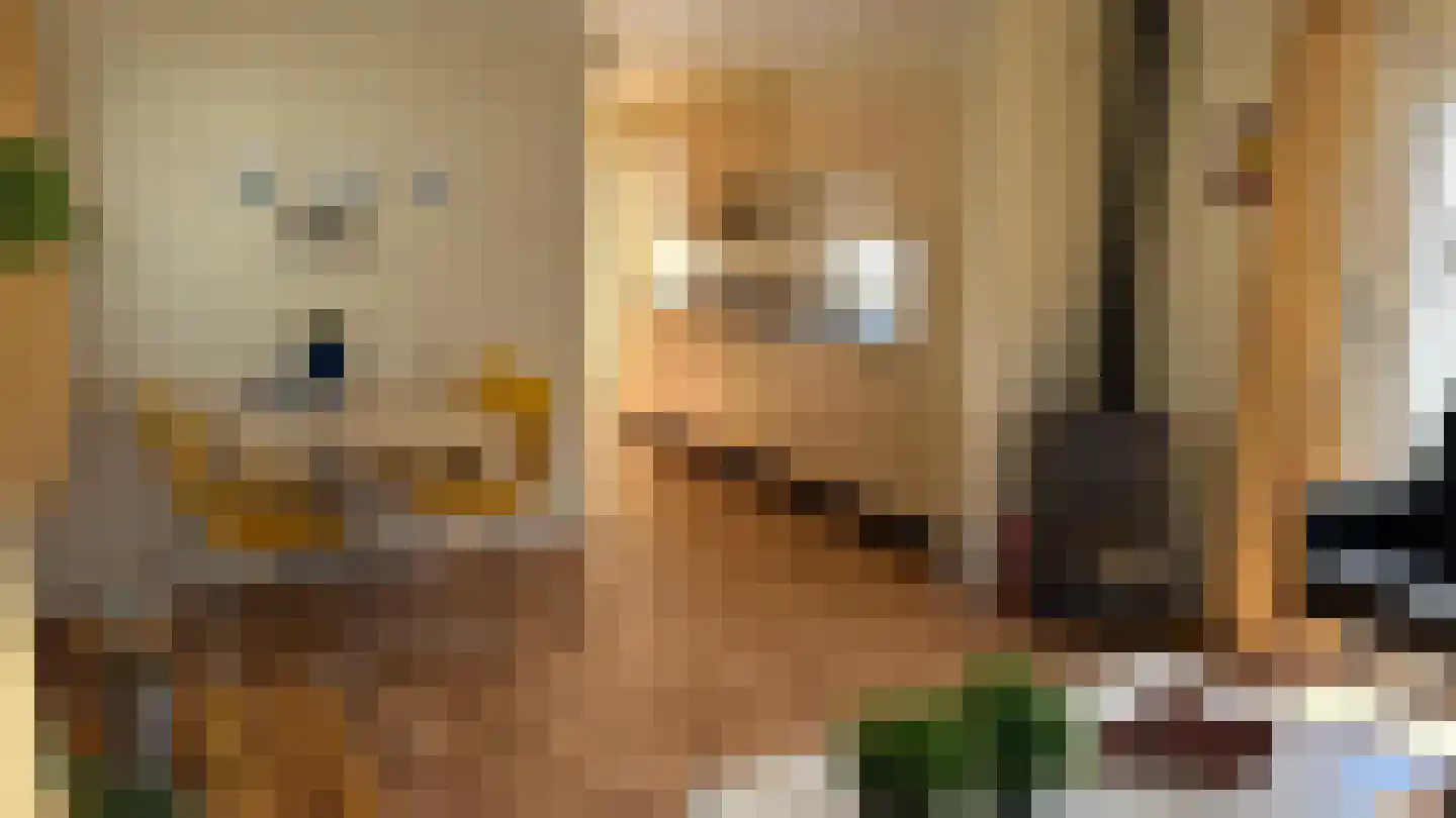 Pontdyk 8 f Langweer thumbnail 7