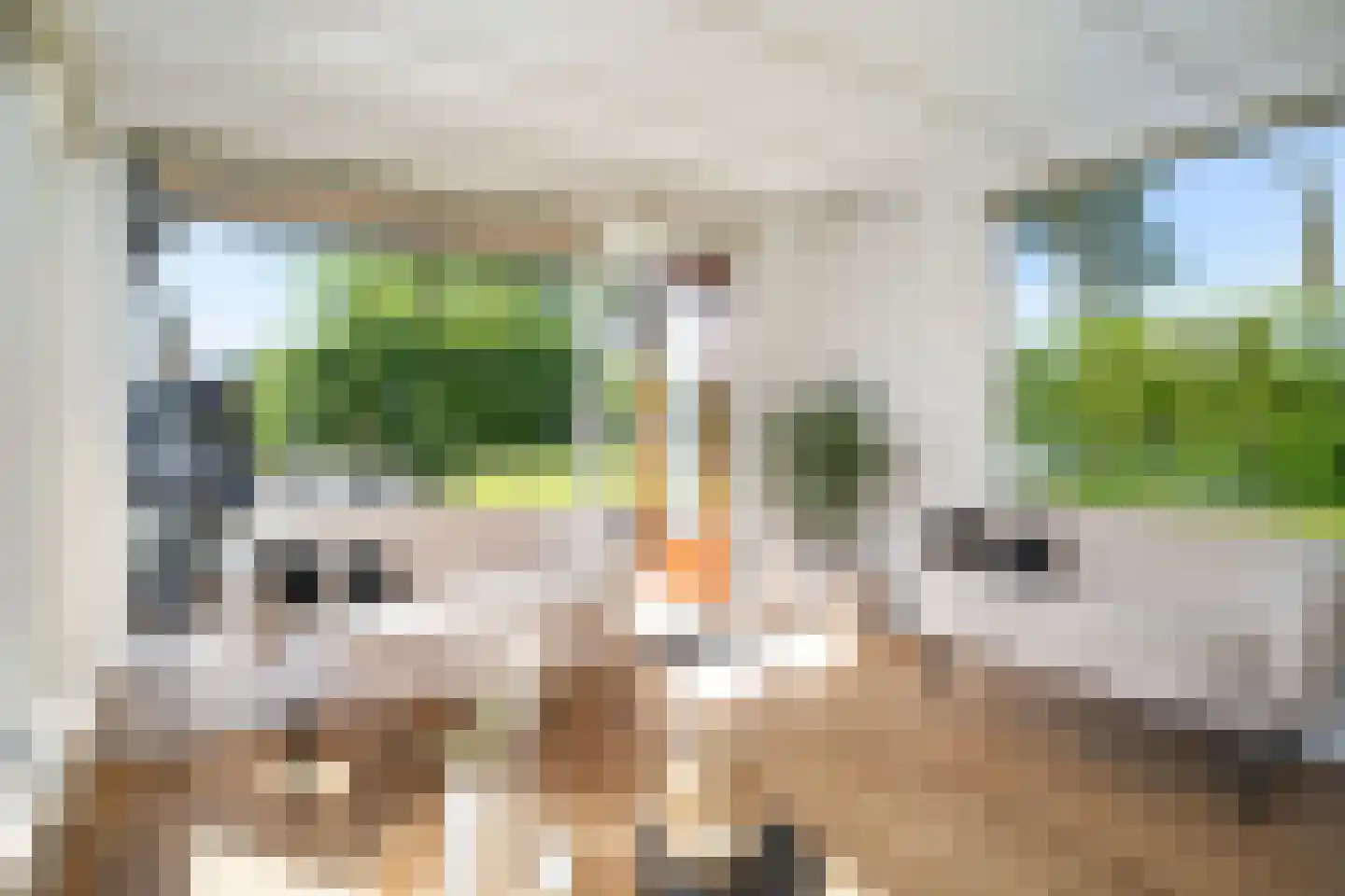 Pontdyk 8 WS7 Langweer thumbnail 11