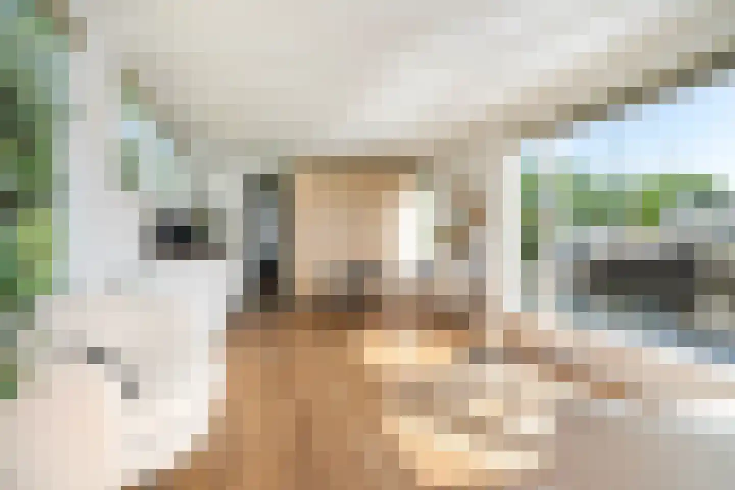 Pontdyk 8 WS7 Langweer thumbnail 15