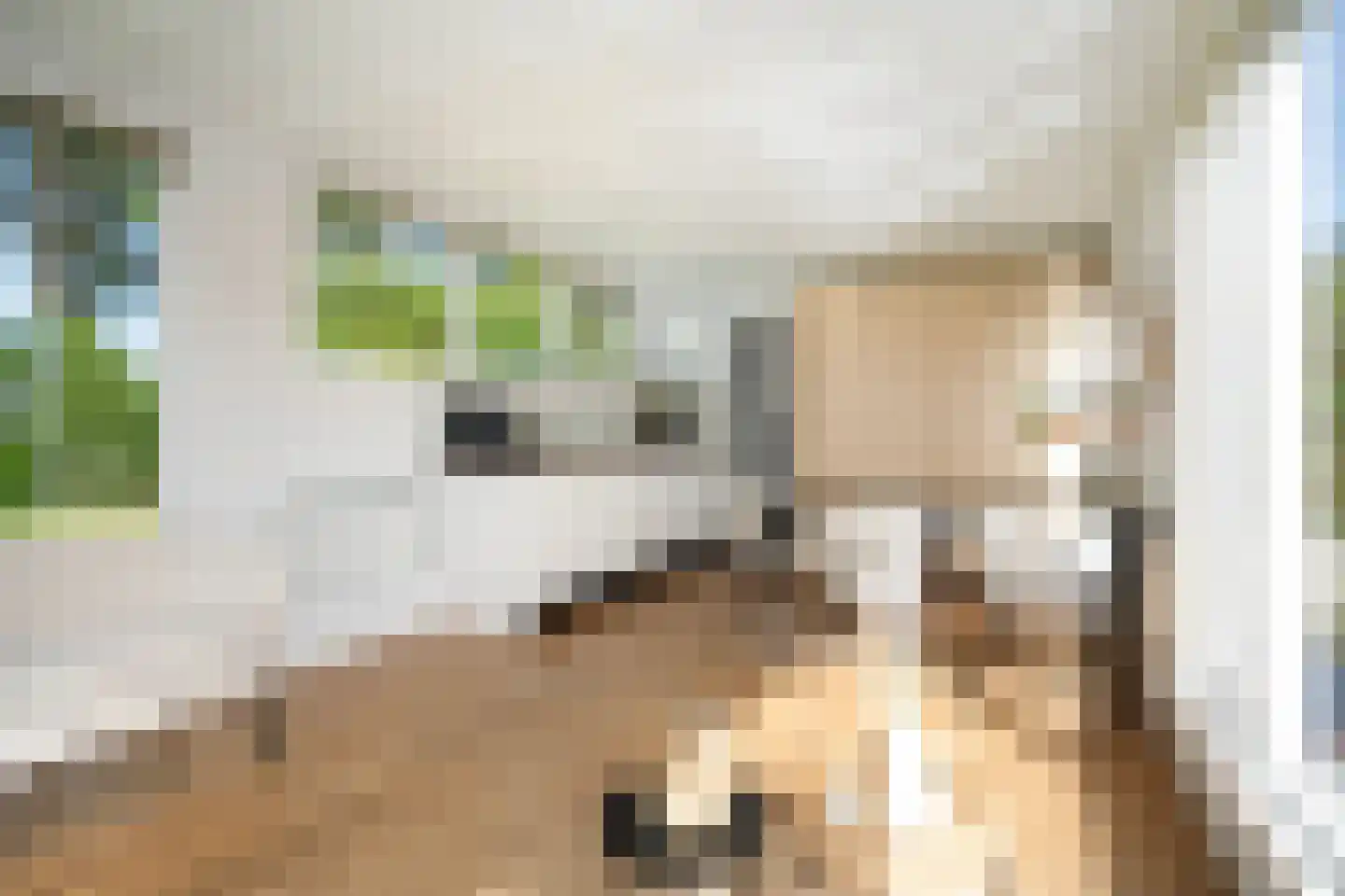 Pontdyk 8 WS7 Langweer thumbnail 16