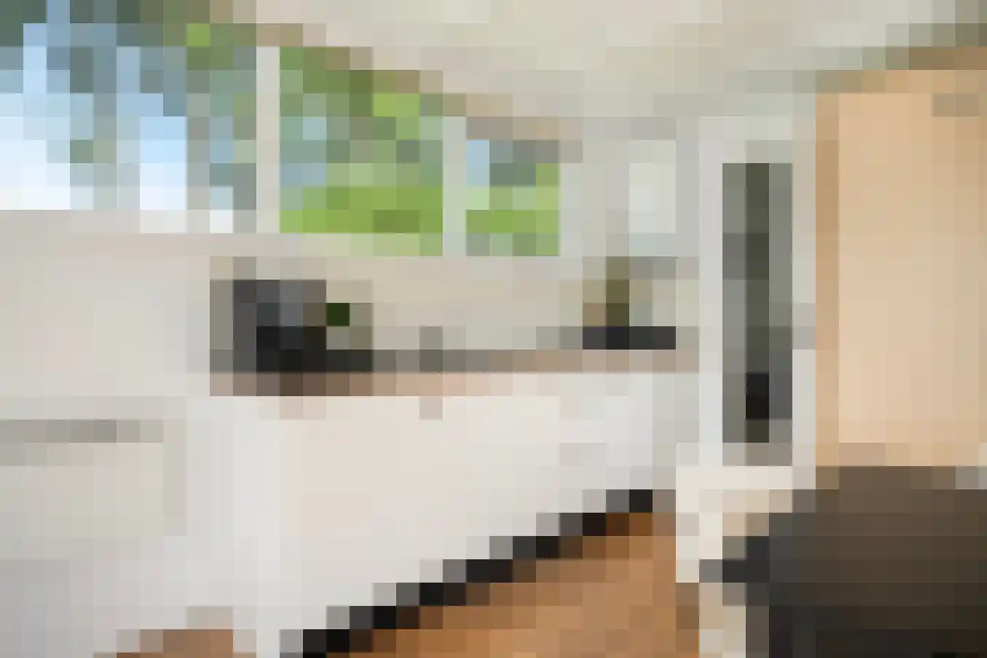 Pontdyk 8 WS7 Langweer thumbnail 17