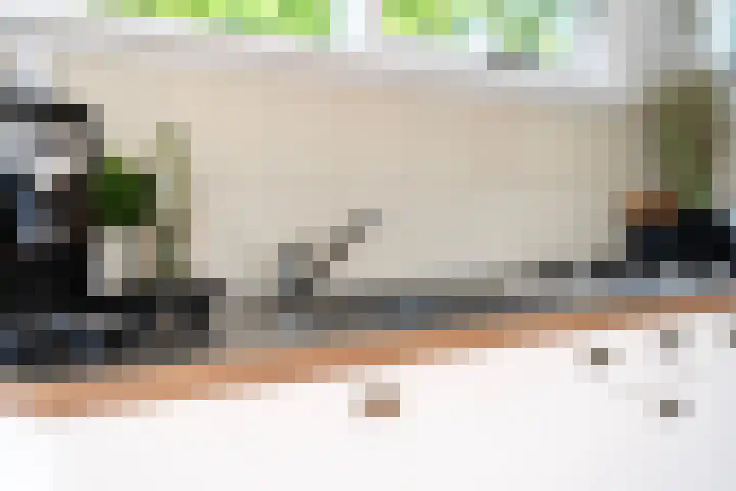Pontdyk 8 WS7 Langweer thumbnail 19