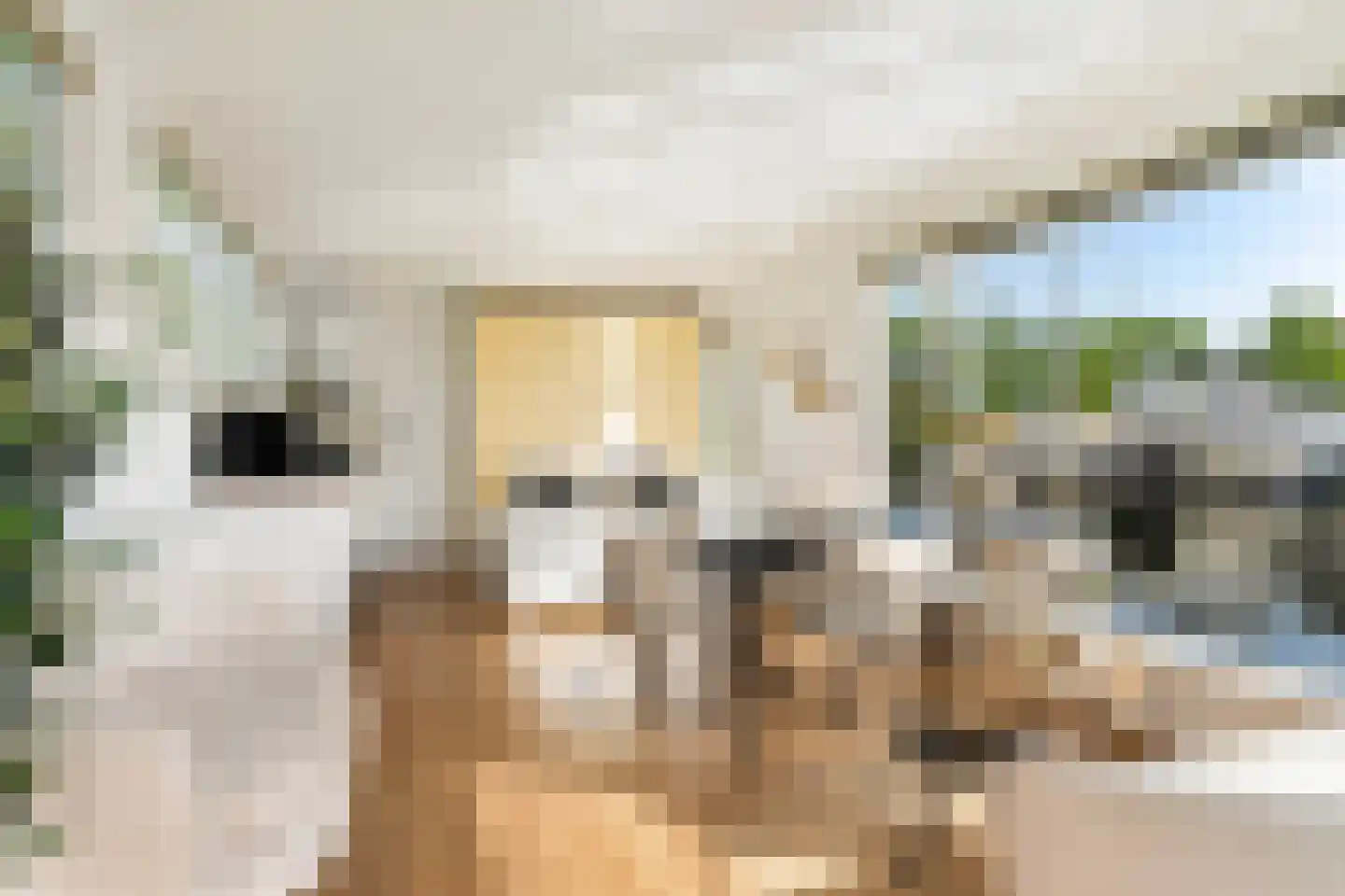 Pontdyk 8 WS7 Langweer thumbnail 20