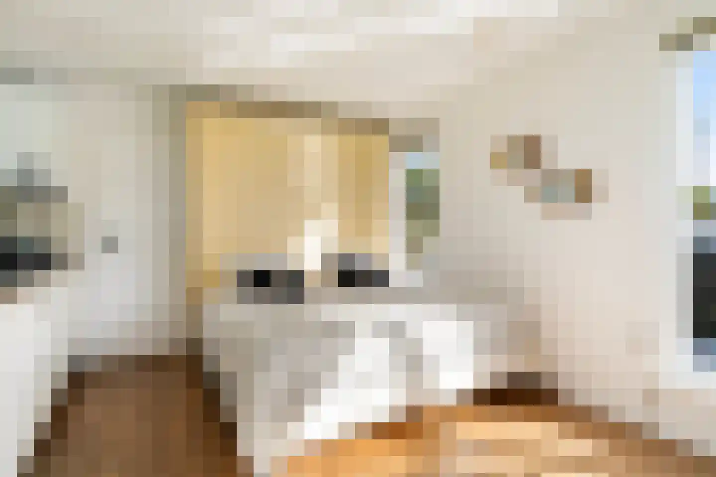 Pontdyk 8 WS7 Langweer thumbnail 21