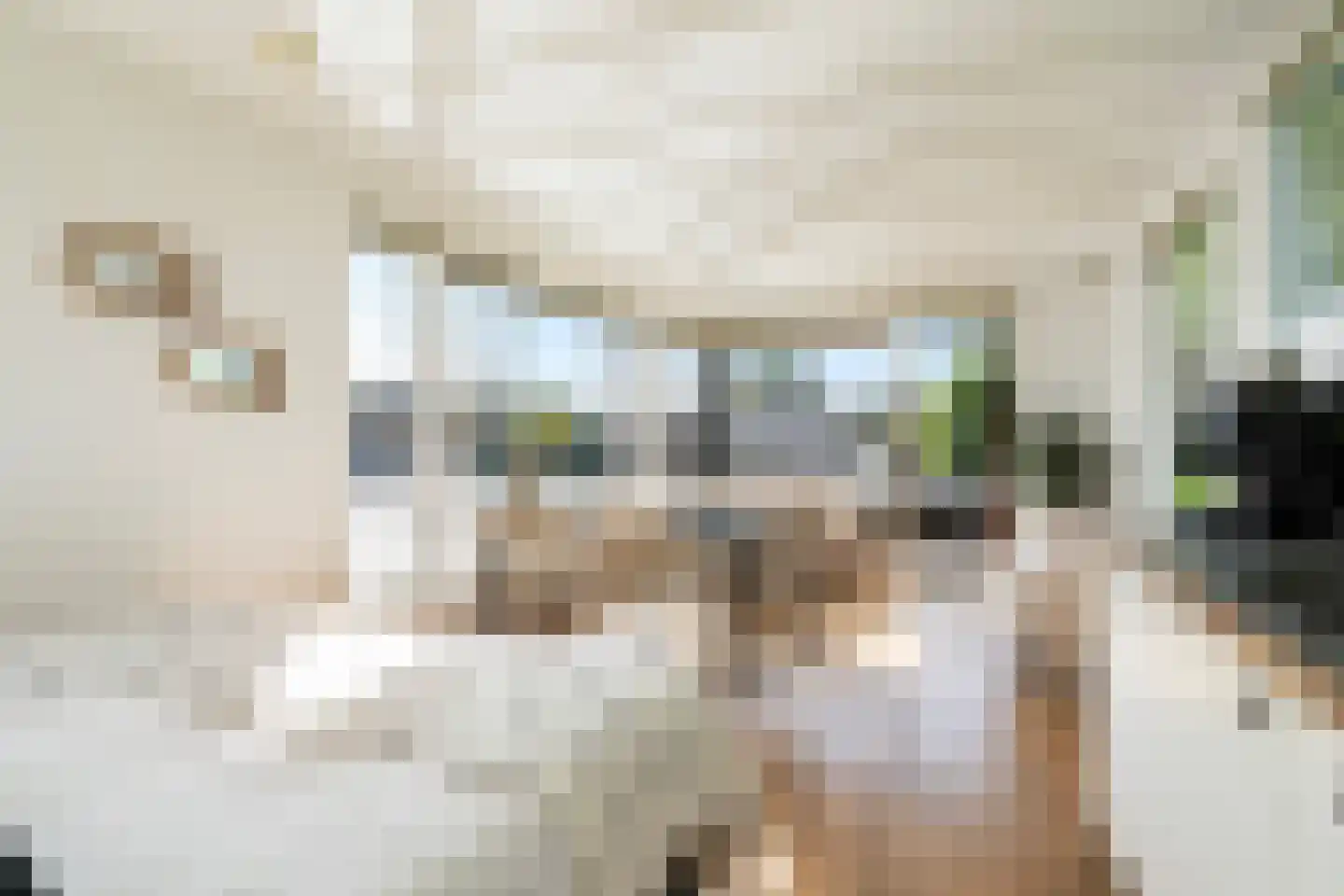 Pontdyk 8 WS7 Langweer thumbnail 22