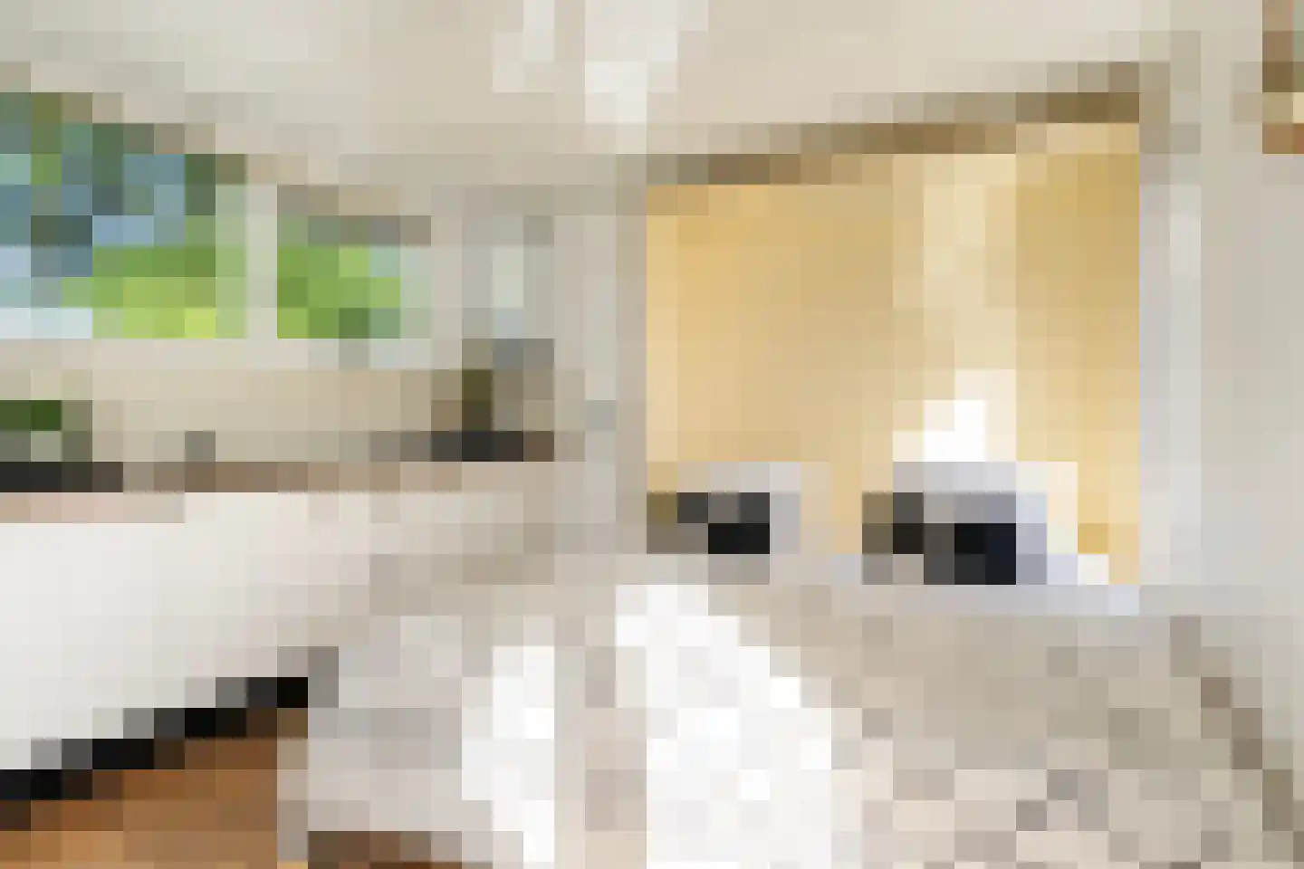 Pontdyk 8 WS7 Langweer thumbnail 23