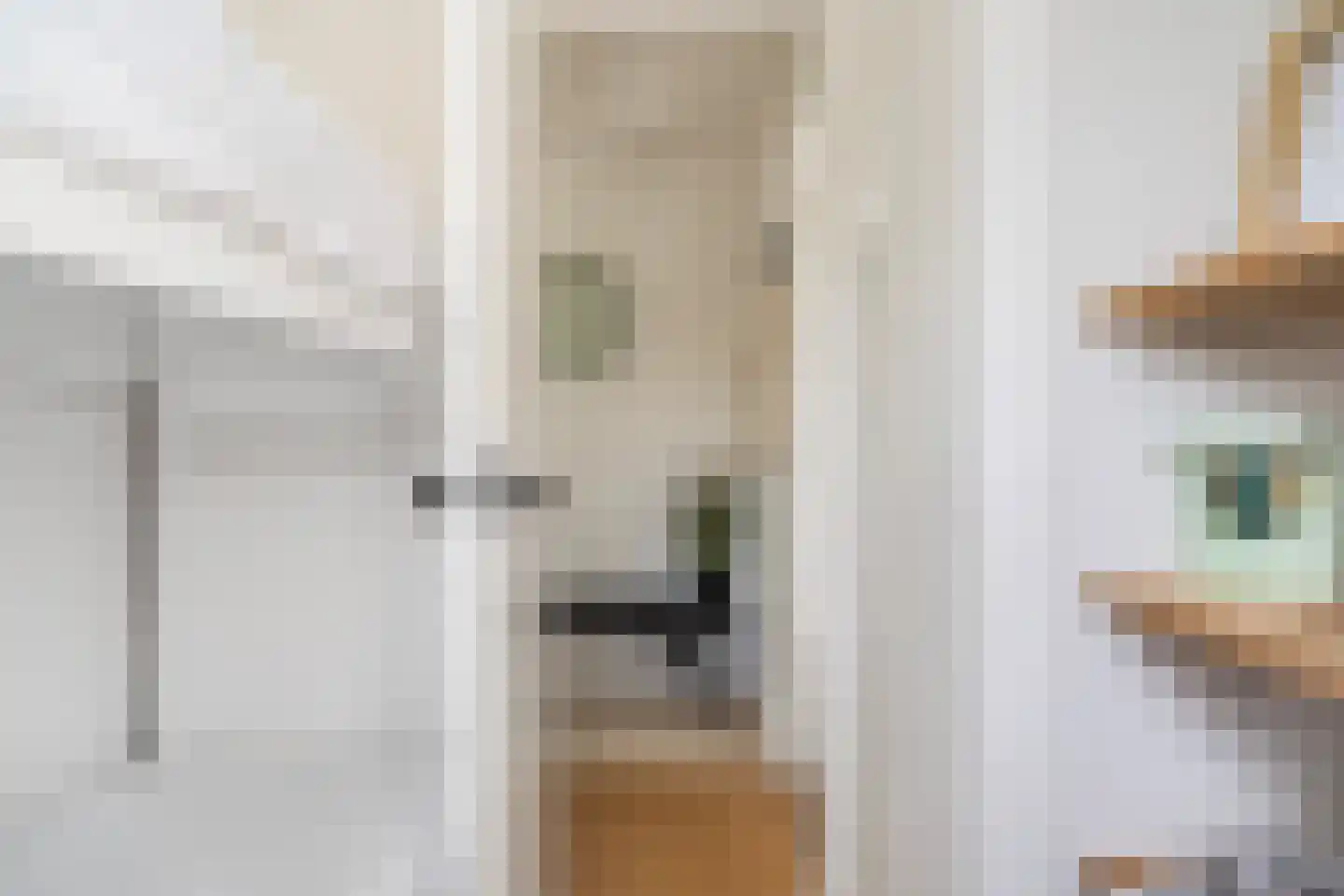 Pontdyk 8 WS7 Langweer thumbnail 28