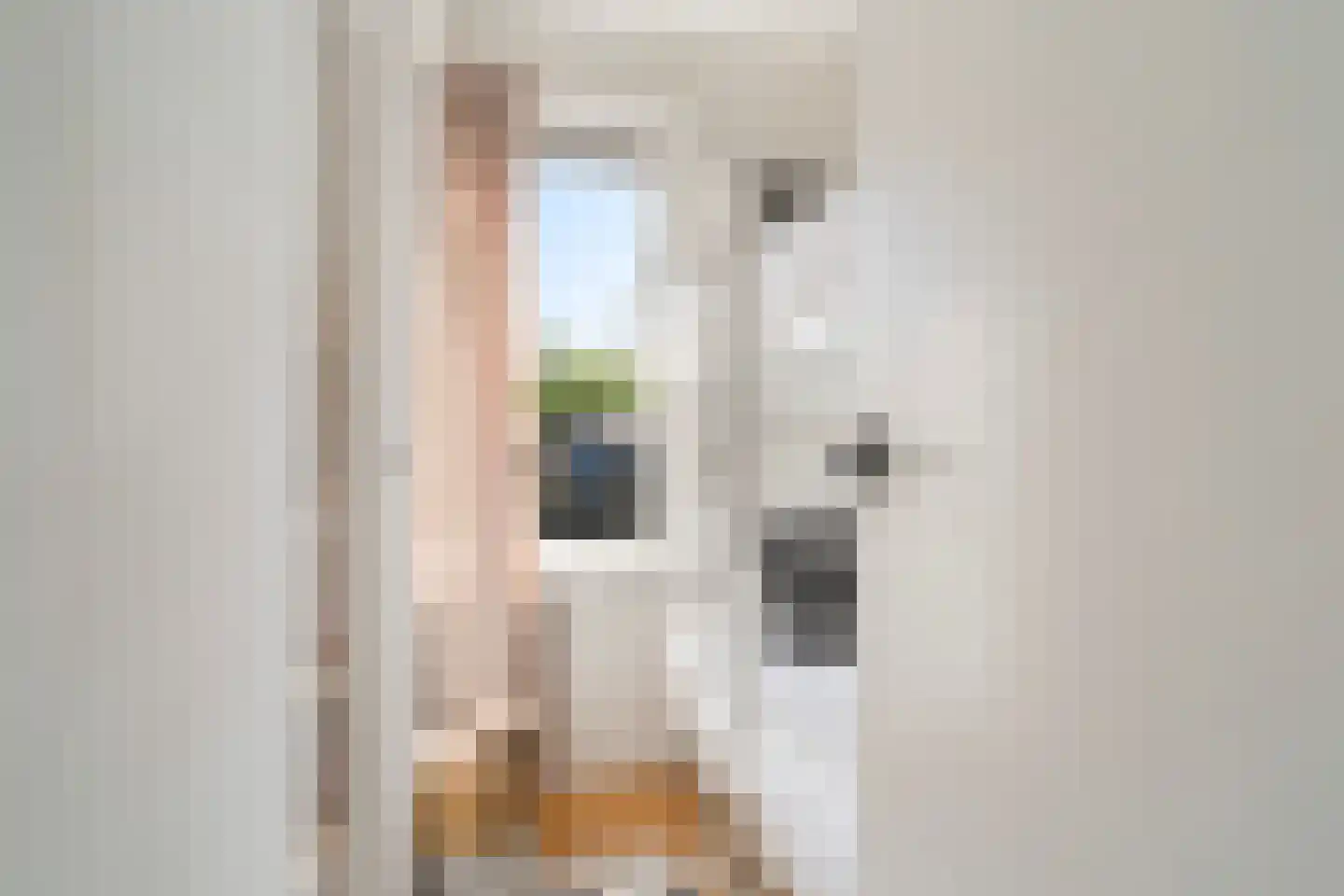 Pontdyk 8 WS7 Langweer thumbnail 29