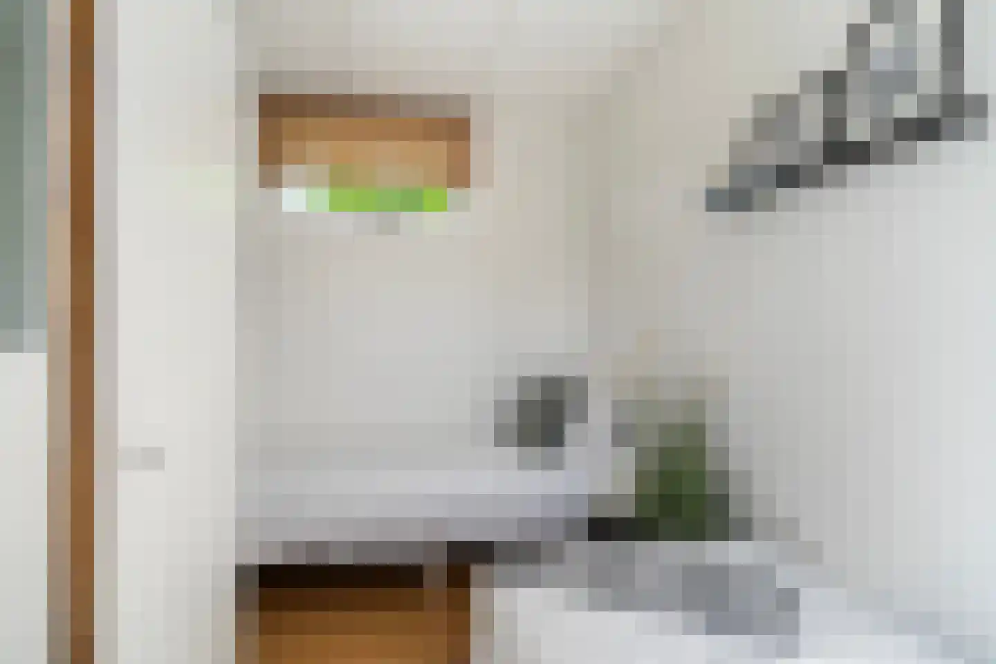 Pontdyk 8 WS7 Langweer thumbnail 31