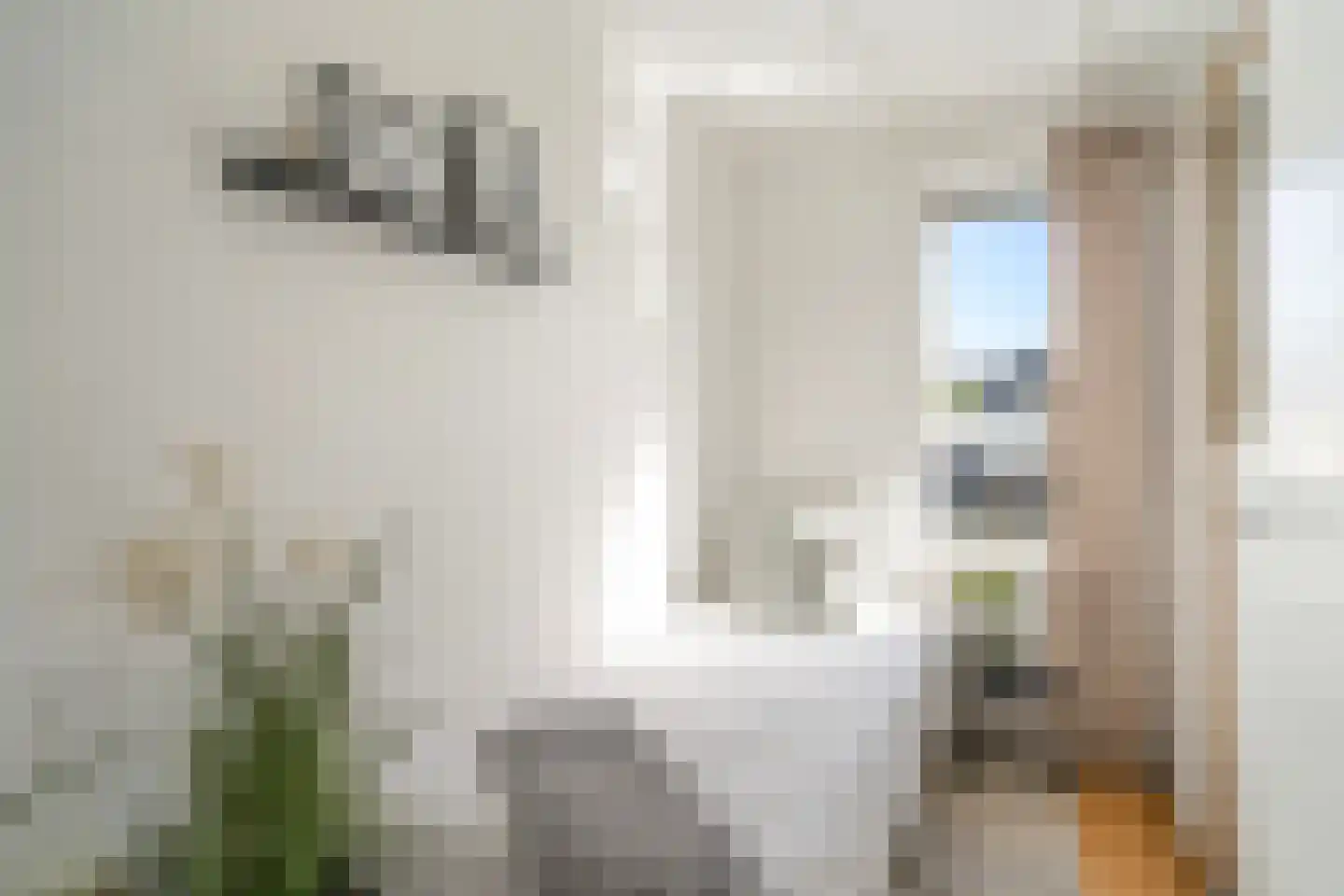 Pontdyk 8 WS7 Langweer thumbnail 32
