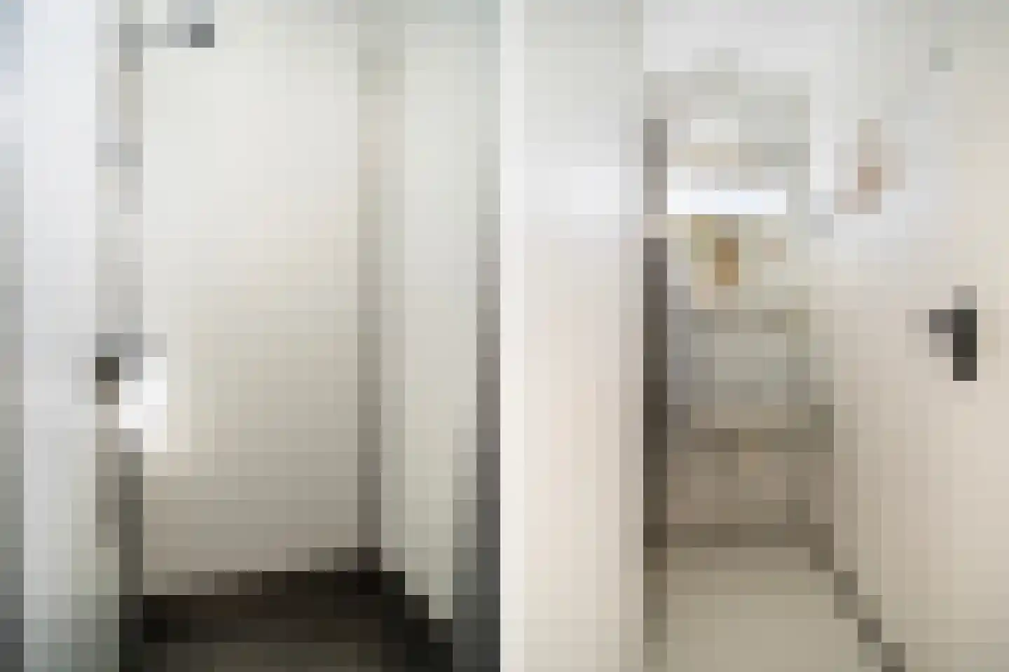 Pontdyk 8 WS7 Langweer thumbnail 33