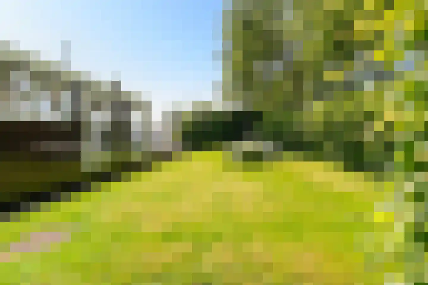 Pontdyk 8 WS7 Langweer thumbnail 35