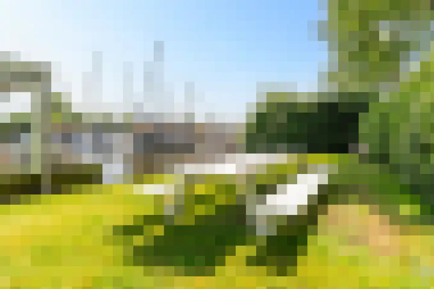 Pontdyk 8 WS7 Langweer thumbnail 37