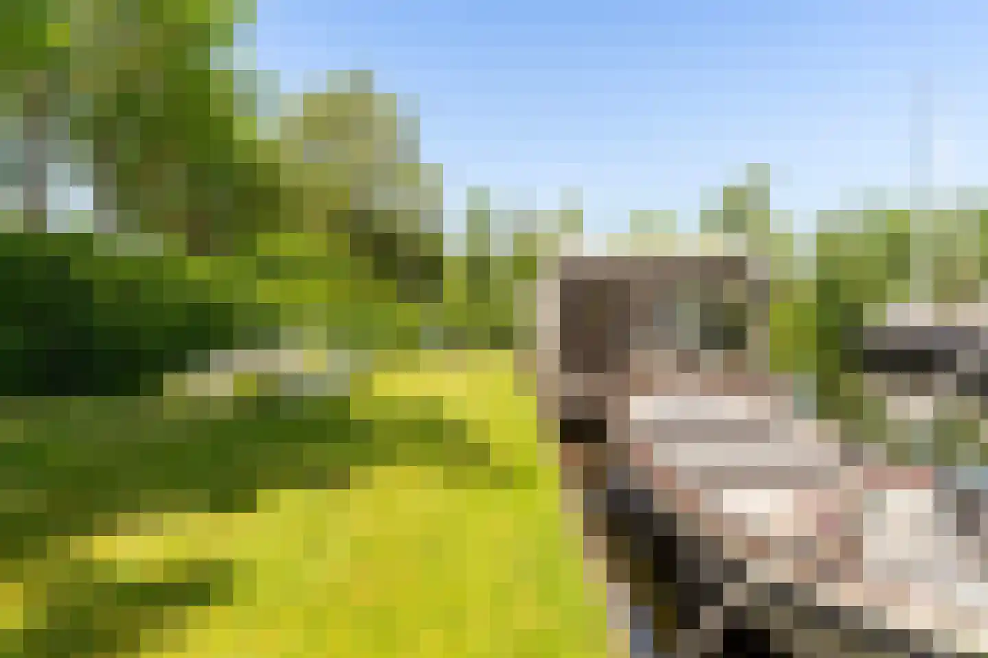 Pontdyk 8 WS7 Langweer thumbnail 39