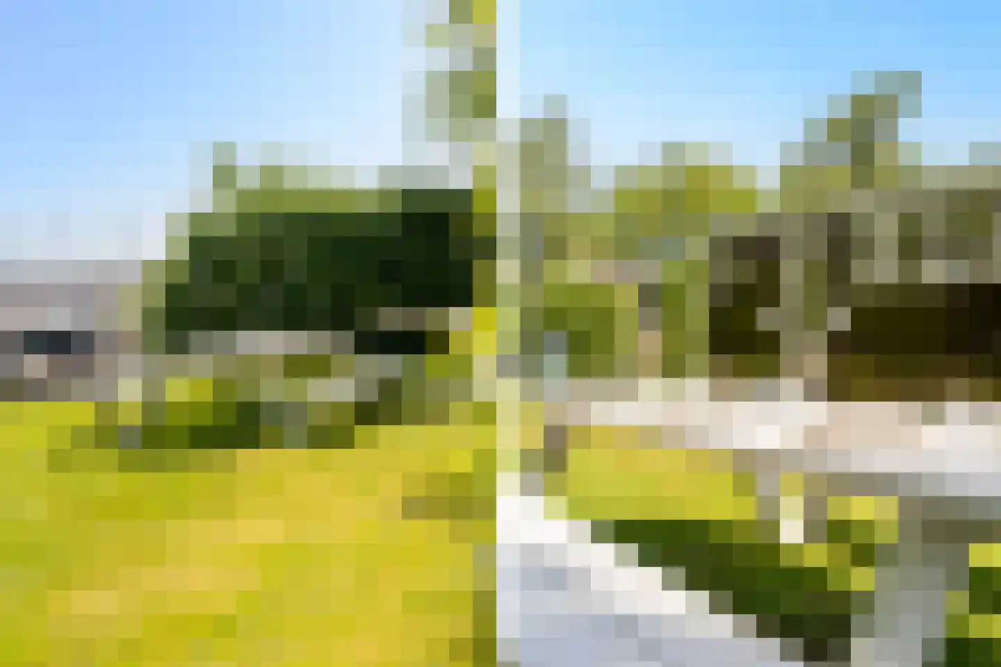 Pontdyk 8 WS7 Langweer thumbnail 41