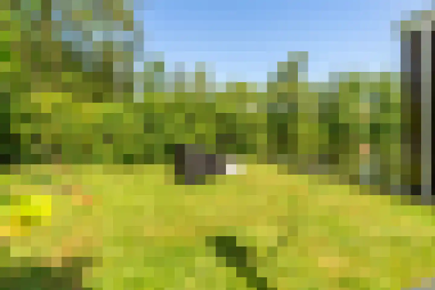 Pontdyk 8 WS7 Langweer thumbnail 42