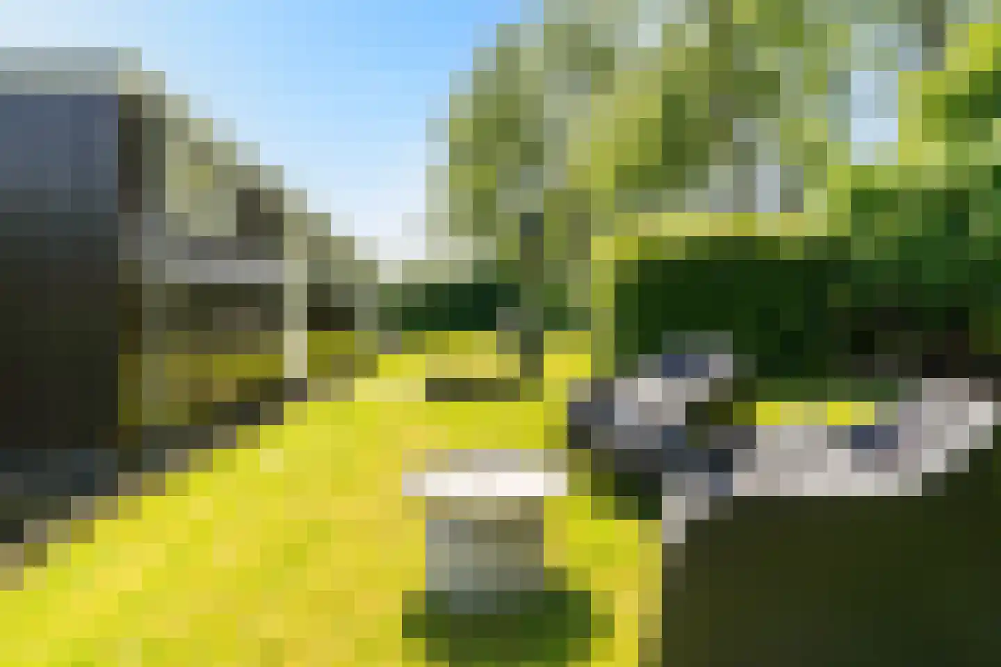 Pontdyk 8 WS7 Langweer thumbnail 43