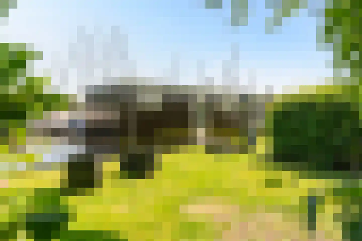 Pontdyk 8 WS7 Langweer thumbnail 44