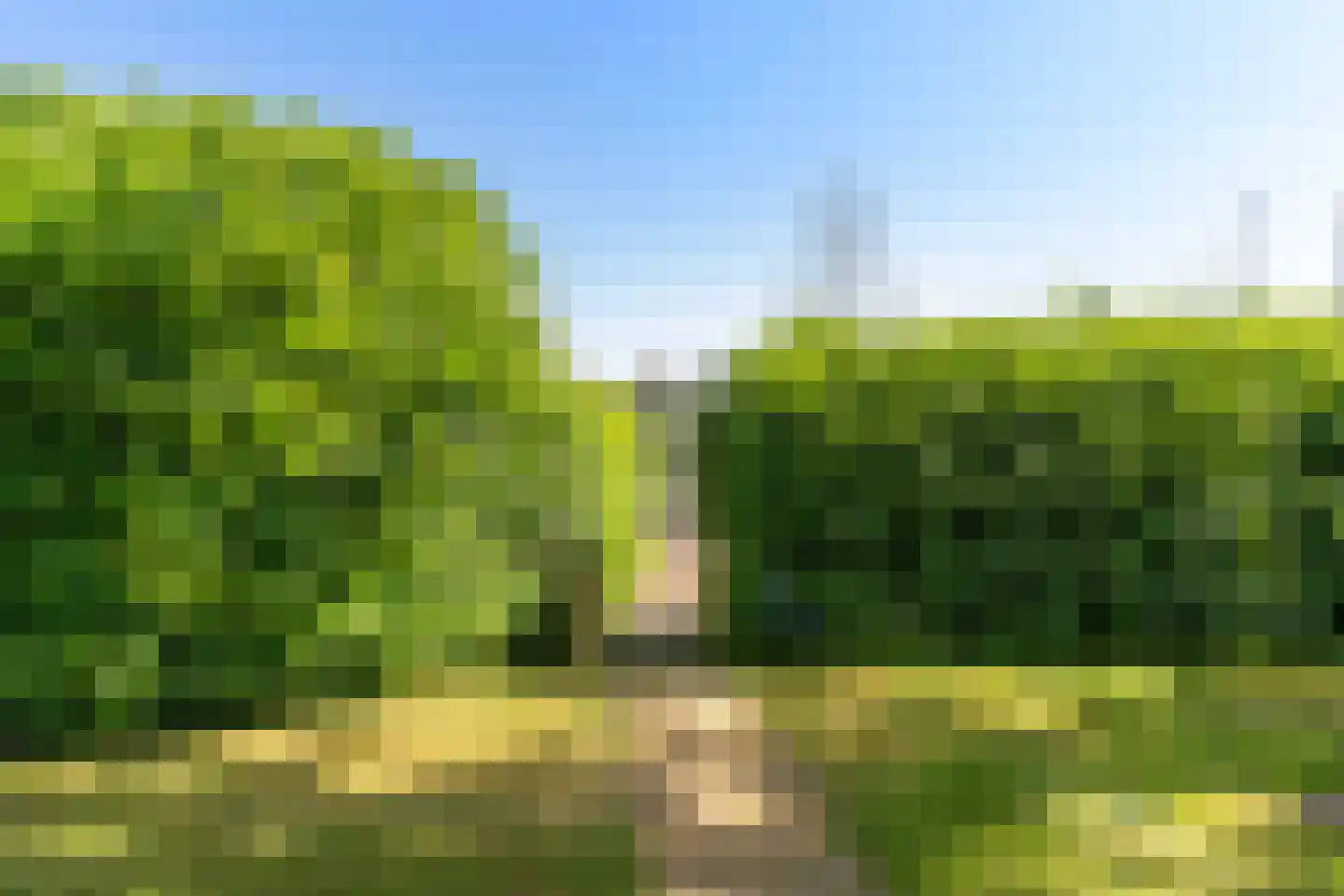 Pontdyk 8 WS7 Langweer thumbnail 48