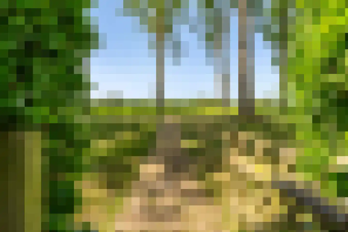 Pontdyk 8 WS7 Langweer thumbnail 49