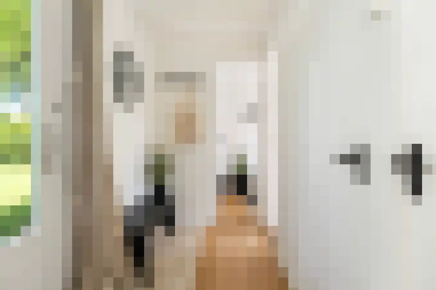 Pontdyk 8 WS7 Langweer thumbnail 5