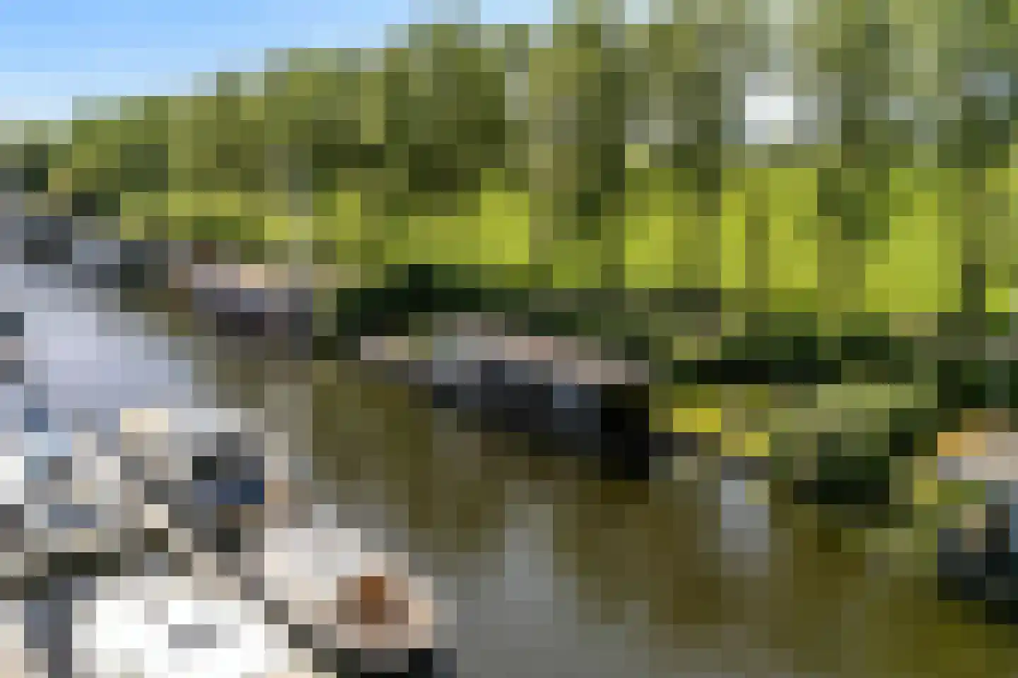 Pontdyk 8 WS7 Langweer thumbnail 51