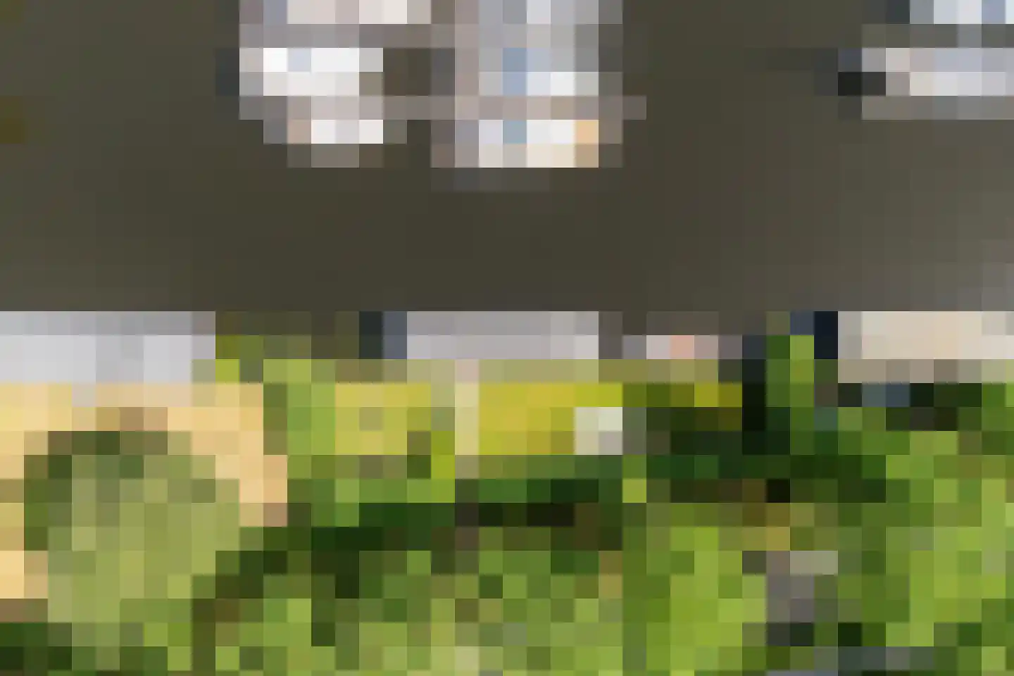 Pontdyk 8 WS7 Langweer thumbnail 55