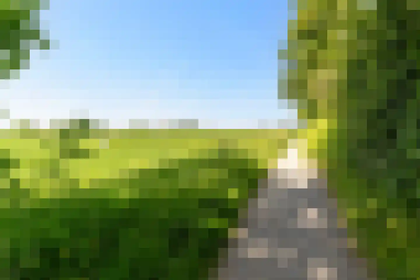 Pontdyk 8 WS7 Langweer thumbnail 56