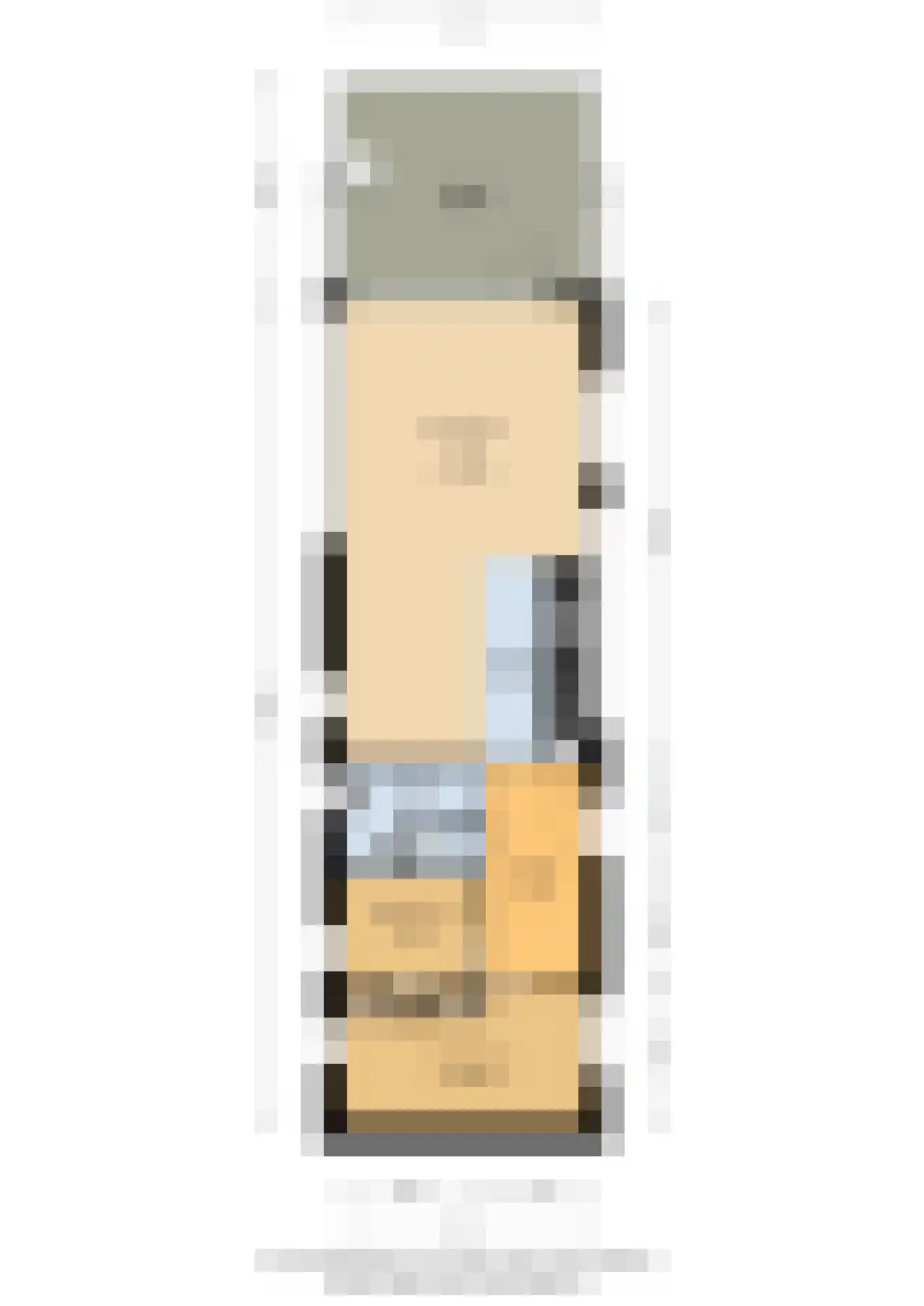 Pontdyk 8 WS7 Langweer thumbnail 62