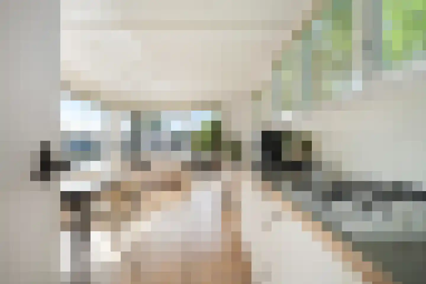 Pontdyk 8 WS7 Langweer thumbnail 8