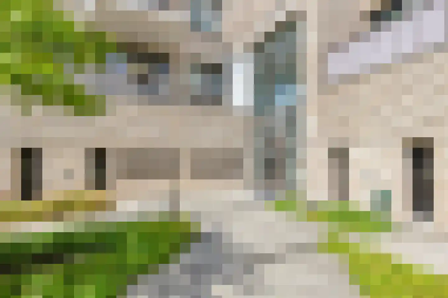 Ponte di Rialto 20 Purmerend thumbnail 6