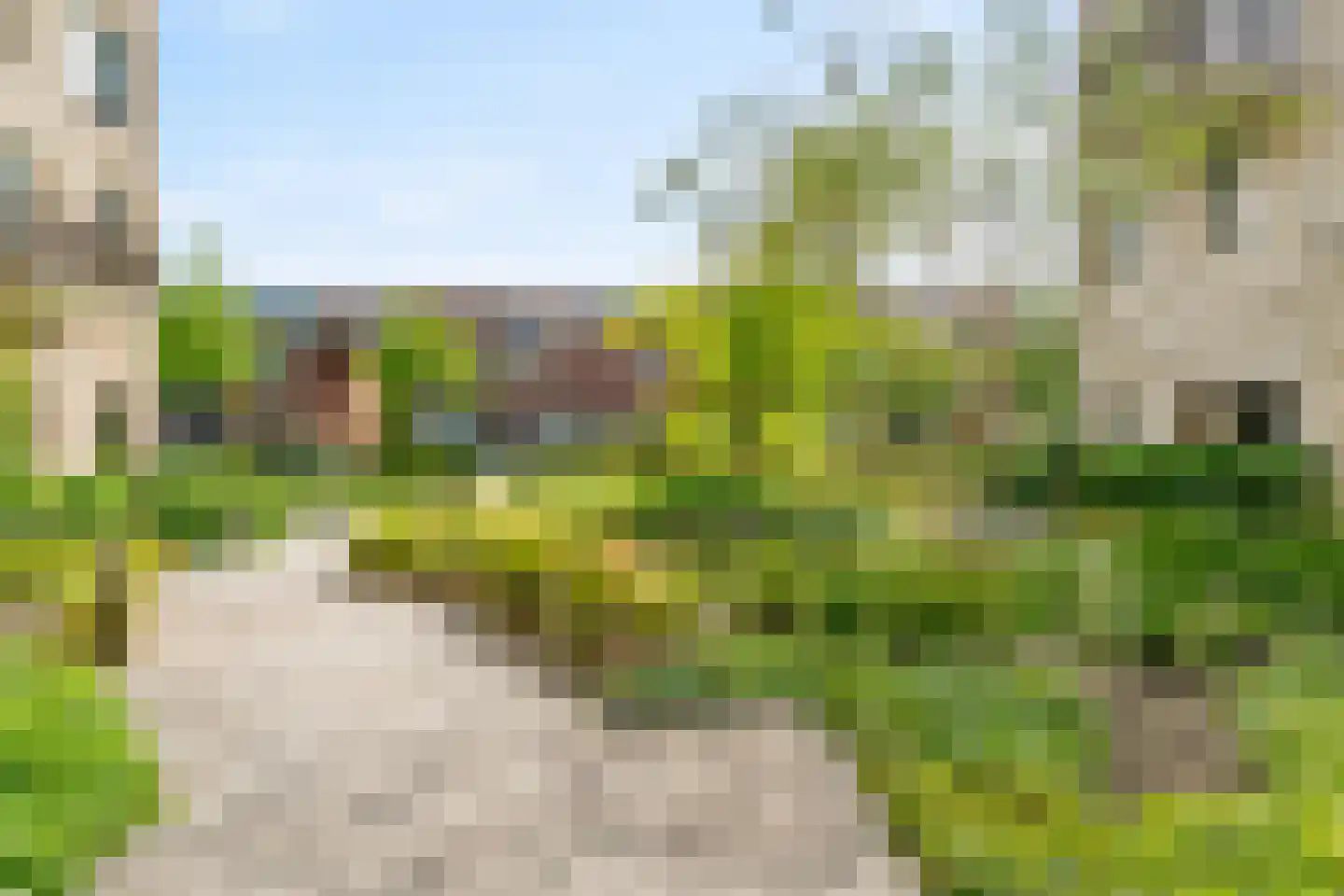 Ponte di Rialto 24 Purmerend thumbnail 25