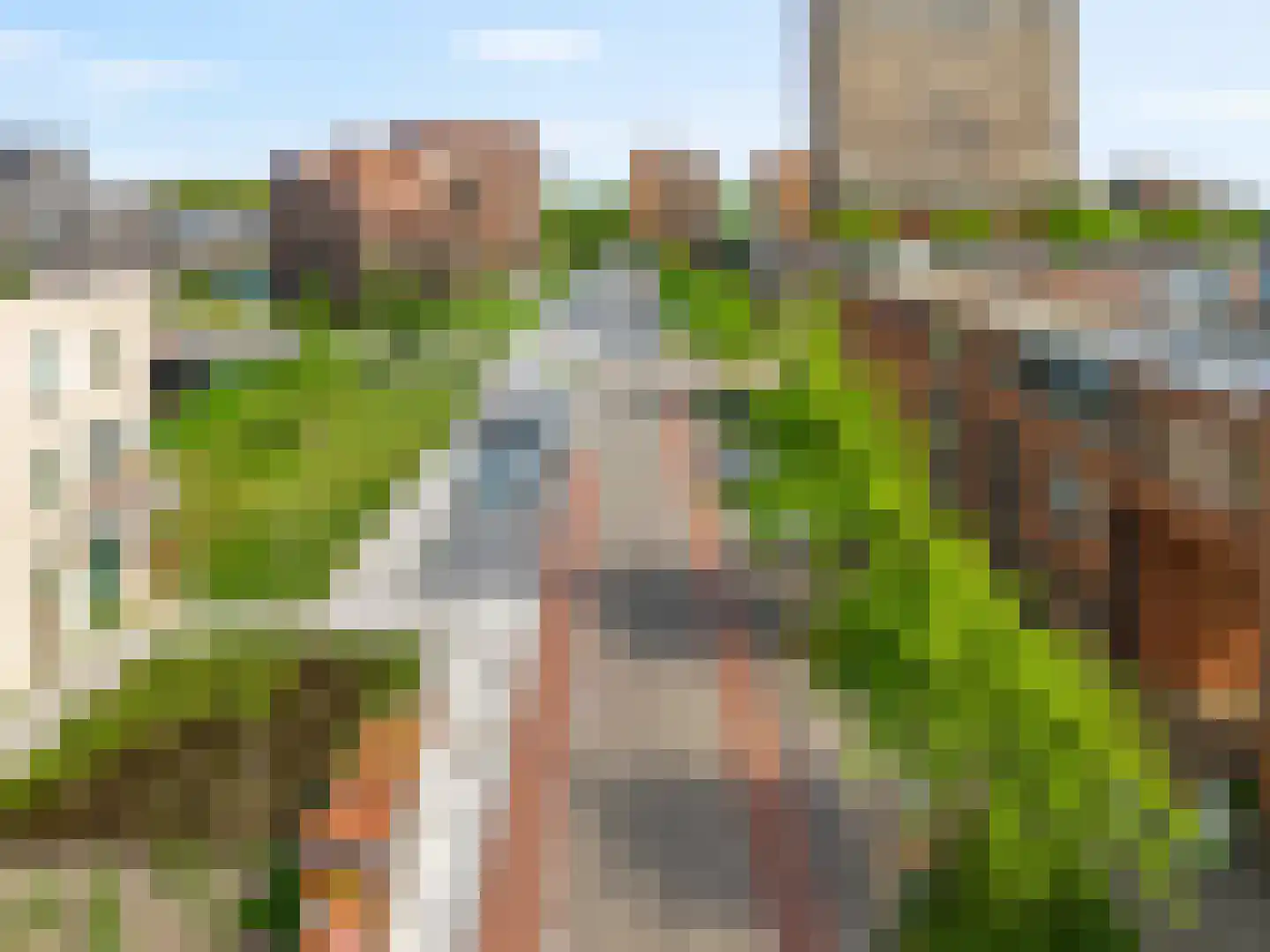 Ponte di Rialto 24 Purmerend thumbnail 29