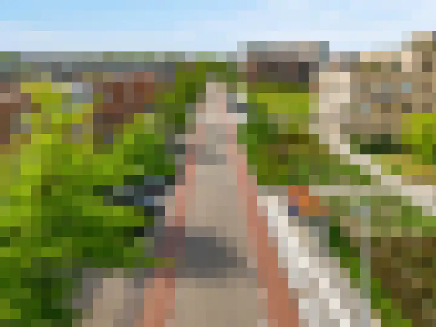 Ponte di Rialto 24 Purmerend thumbnail 30