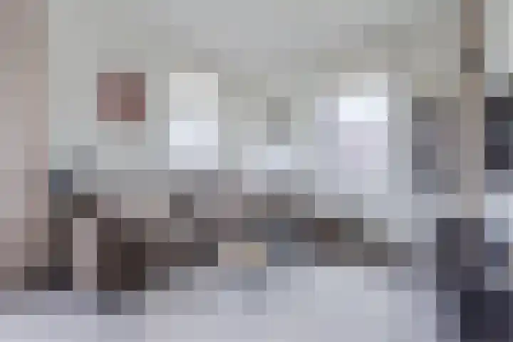 Ponte di Rialto 31 Purmerend thumbnail 13