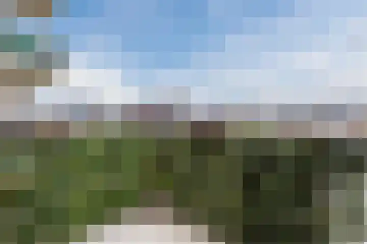 Ponte di Rialto 31 Purmerend thumbnail 38
