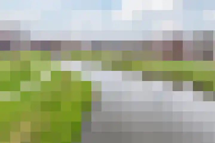 Ponte di Rialto 31 Purmerend thumbnail 39