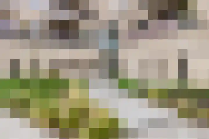 Ponte di Rialto 31 Purmerend thumbnail 4