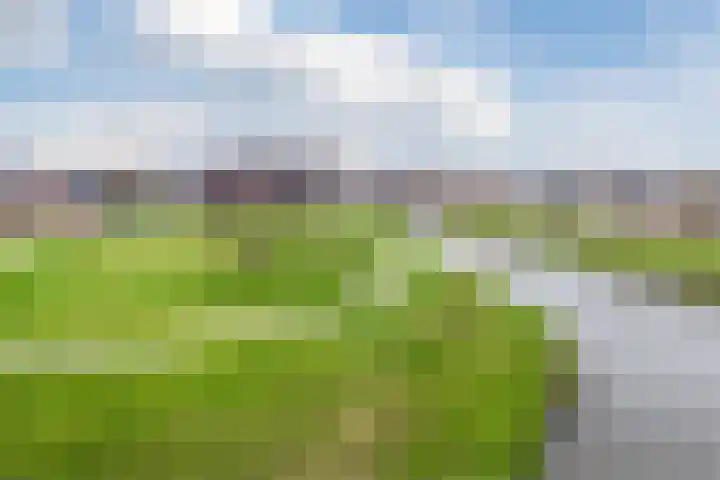 Ponte di Rialto 31 Purmerend thumbnail 40