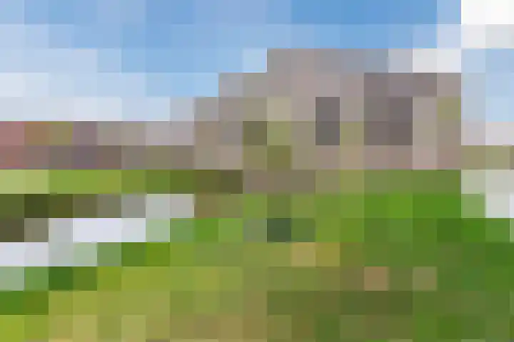 Ponte di Rialto 31 Purmerend thumbnail 49