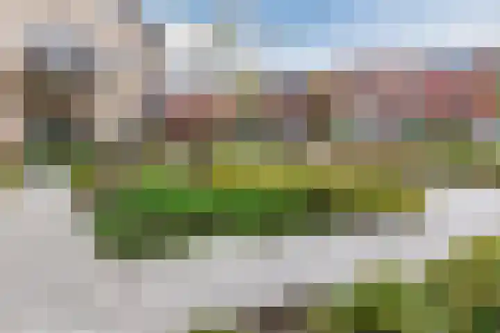 Ponte di Rialto 31 Purmerend thumbnail 5