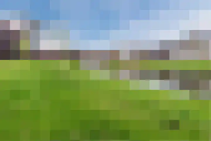 Ponte di Rialto 31 Purmerend thumbnail 50